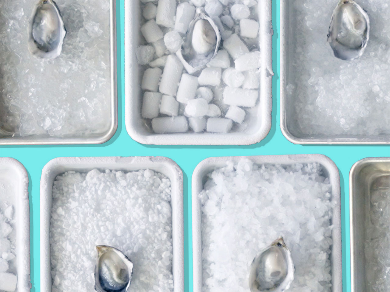 Tips & Tricks: How to Make Ice That Never Melts